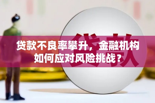 商南贷款不良率攀升，金融机构如何应对风险挑战？