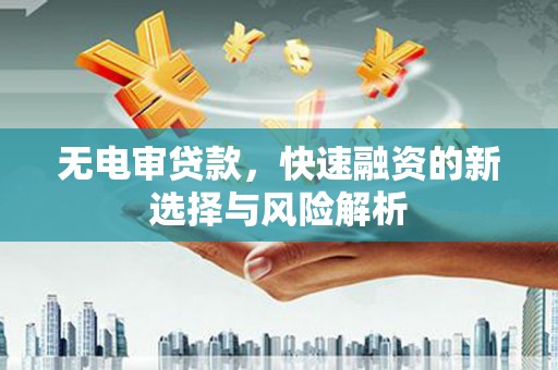商南无电审贷款，快速融资的新选择与风险解析