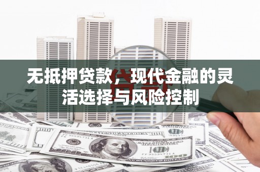 商南无抵押贷款，现代金融的灵活选择与风险控制