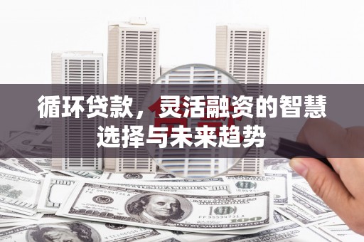 商南循环贷款，灵活融资的智慧选择与未来趋势