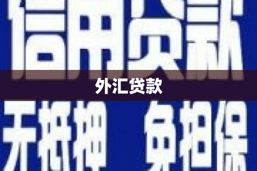 商南外汇贷款