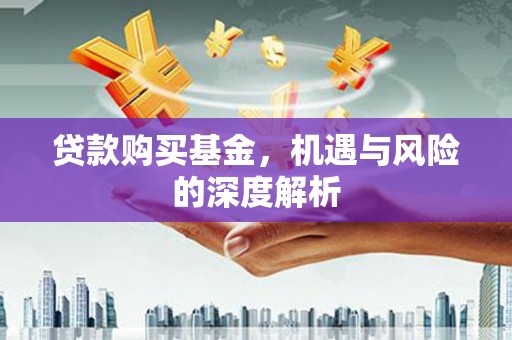 商南贷款购买基金，机遇与风险的深度解析