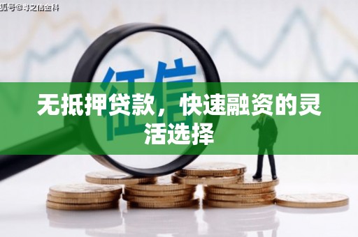 商南无抵押贷款，快速融资的灵活选择