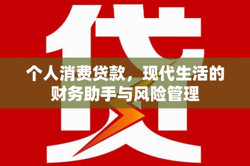 商南个人消费贷款，现代生活的财务助手与风险管理