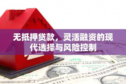 商南无抵押贷款，灵活融资的现代选择与风险控制