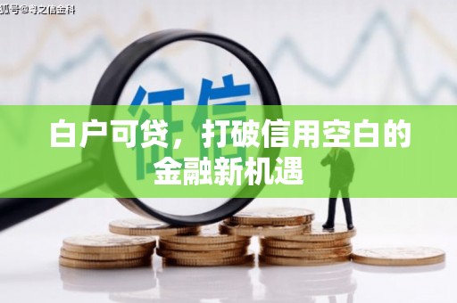 商南白户可贷，打破信用空白的金融新机遇