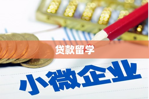 商南贷款留学