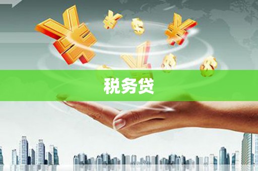 商南税务贷