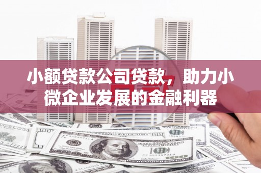商南小额贷款公司贷款，助力小微企业发展的金融利器