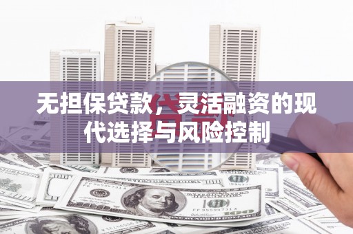 商南无担保贷款，灵活融资的现代选择与风险控制