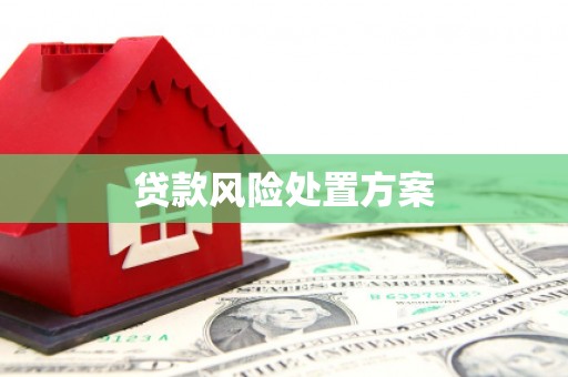 商南贷款风险处置方案