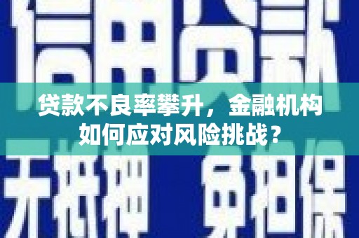 商南贷款不良率攀升，金融机构如何应对风险挑战？