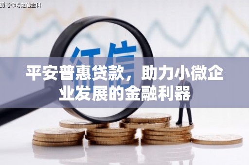 商南平安普惠贷款，助力小微企业发展的金融利器
