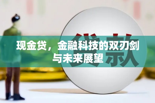 商南现金贷，金融科技的双刃剑与未来展望