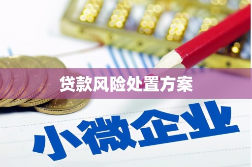 商南贷款风险处置方案