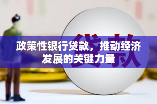商南政策性银行贷款，推动经济发展的关键力量