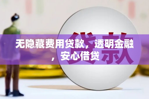 商南无隐藏费用贷款，透明金融，安心借贷