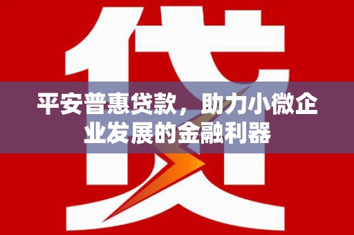 商南平安普惠贷款，助力小微企业发展的金融利器