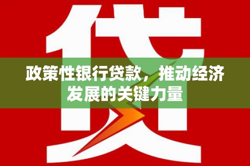 商南政策性银行贷款，推动经济发展的关键力量