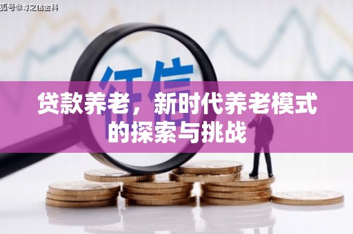 商南贷款养老，新时代养老模式的探索与挑战