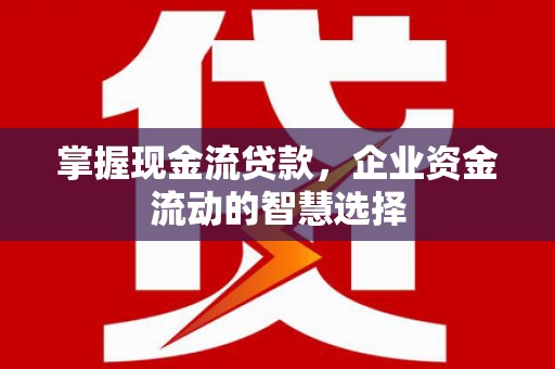 商南掌握现金流贷款，企业资金流动的智慧选择