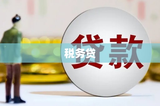 商南税务贷