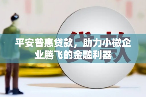 商南平安普惠贷款，助力小微企业腾飞的金融利器