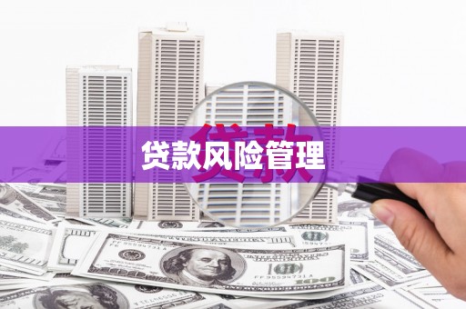 商南贷款风险管理