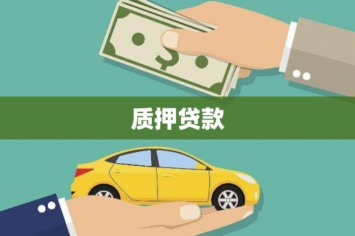 商南质押贷款