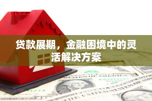 商南贷款展期，金融困境中的灵活解决方案