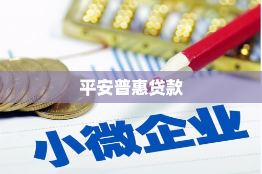 商南平安普惠贷款