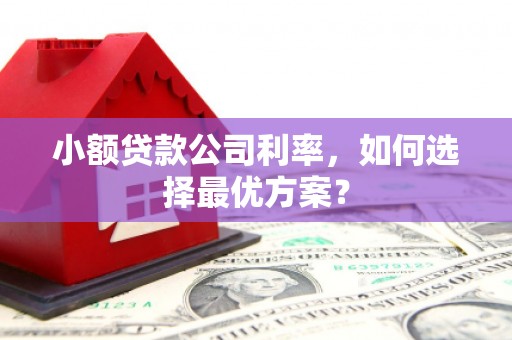 商南小额贷款公司利率，如何选择最优方案？