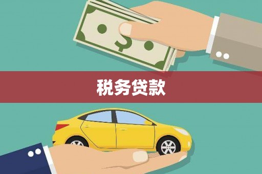 商南税务贷款