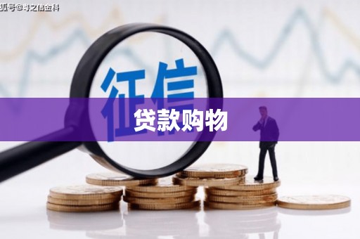 商南贷款购物
