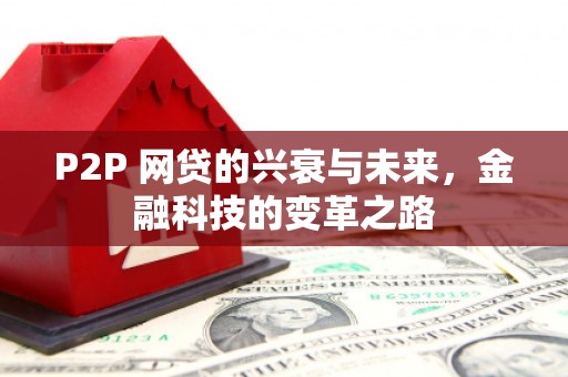 商南P2P 网贷的兴衰与未来，金融科技的变革之路