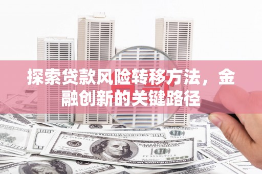商南探索贷款风险转移方法，金融创新的关键路径