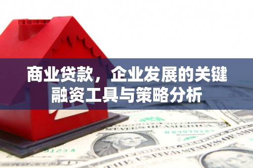 商南商业贷款，企业发展的关键融资工具与策略分析