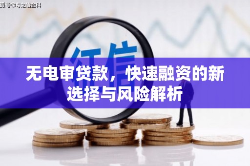 商南无电审贷款，快速融资的新选择与风险解析