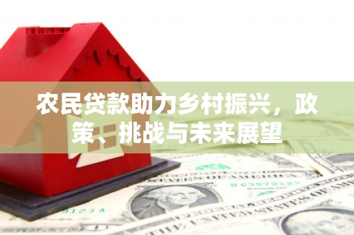 商南农民贷款助力乡村振兴，政策、挑战与未来展望