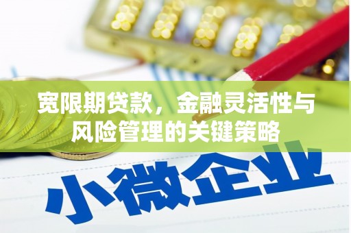 商南宽限期贷款，金融灵活性与风险管理的关键策略