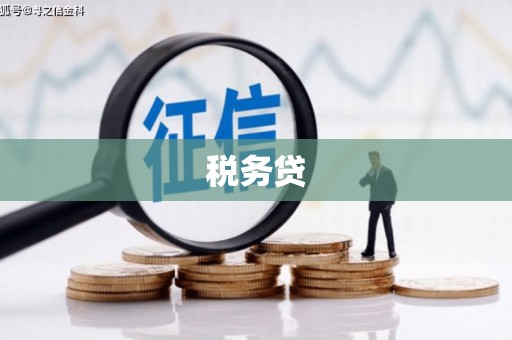 商南税务贷