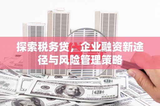 商南探索税务贷，企业融资新途径与风险管理策略