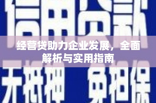 商南经营贷助力企业发展，全面解析与实用指南