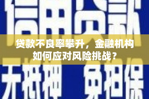 商南贷款不良率攀升，金融机构如何应对风险挑战？