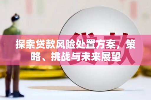 商南探索贷款风险处置方案，策略、挑战与未来展望