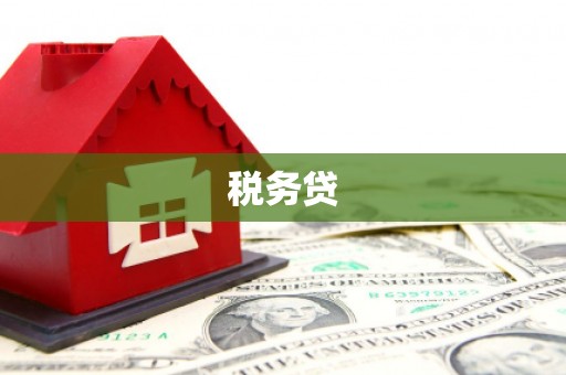 商南税务贷
