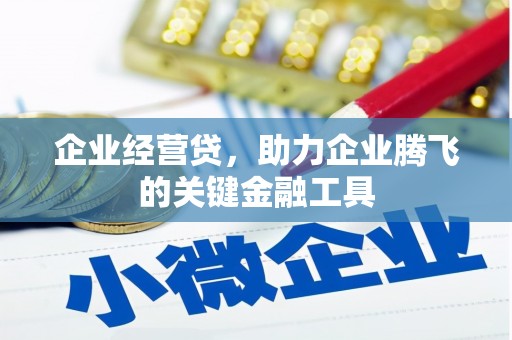 商南企业经营贷，助力企业腾飞的关键金融工具
