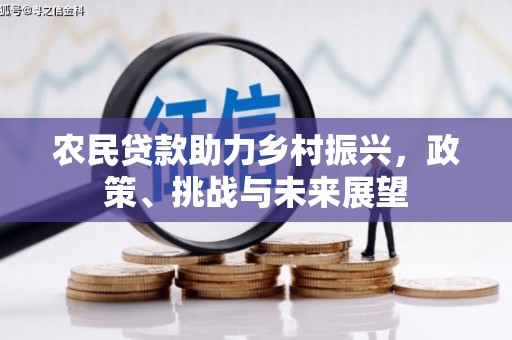 商南农民贷款助力乡村振兴，政策、挑战与未来展望