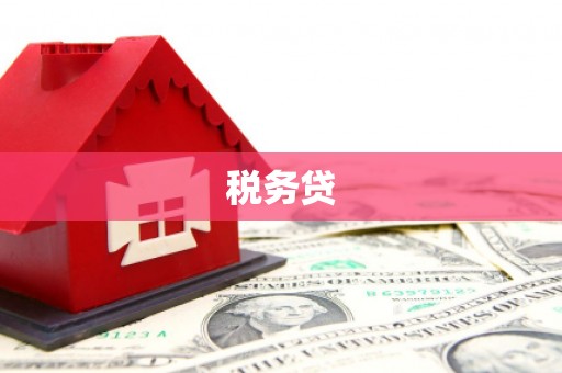 商南税务贷