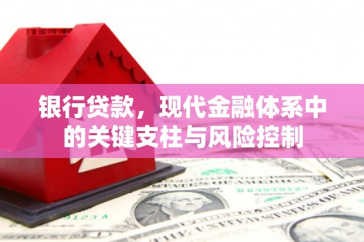 商南银行贷款，现代金融体系中的关键支柱与风险控制